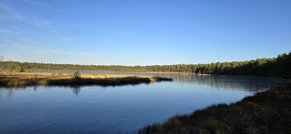 Без подписи