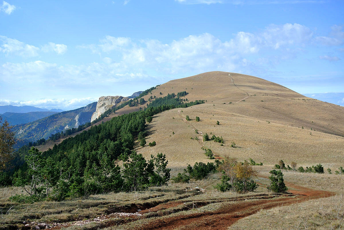 Без подписи