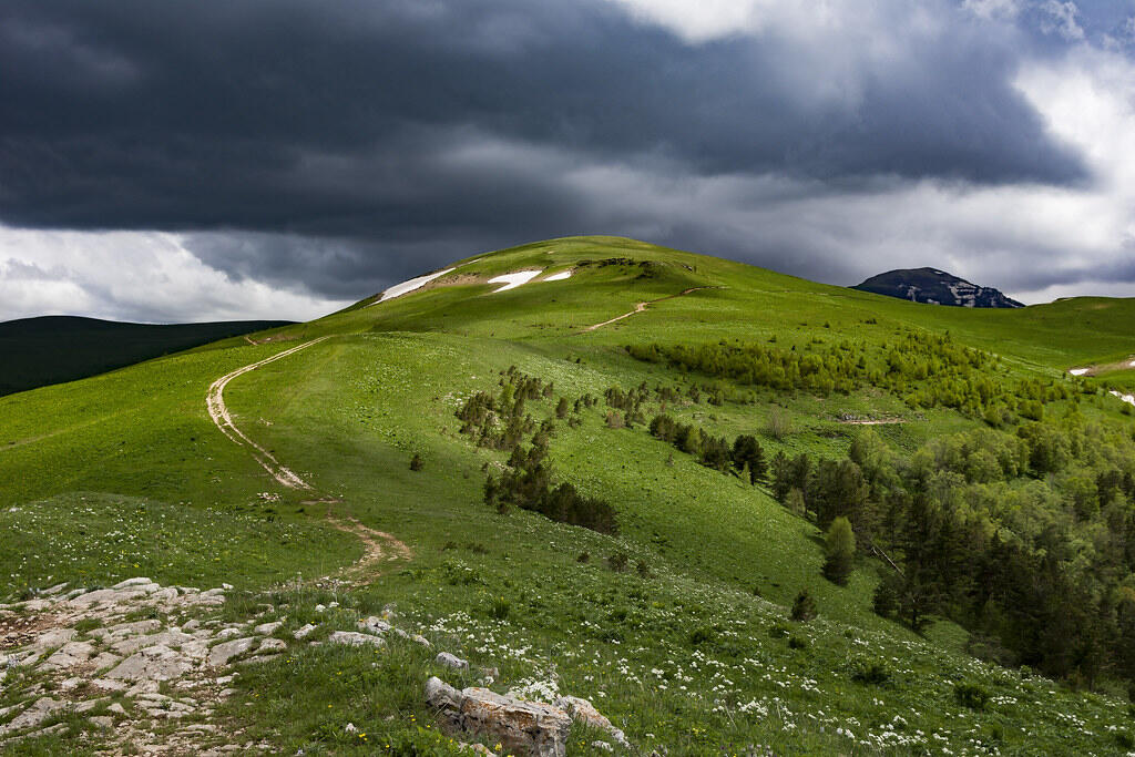 Без подписи