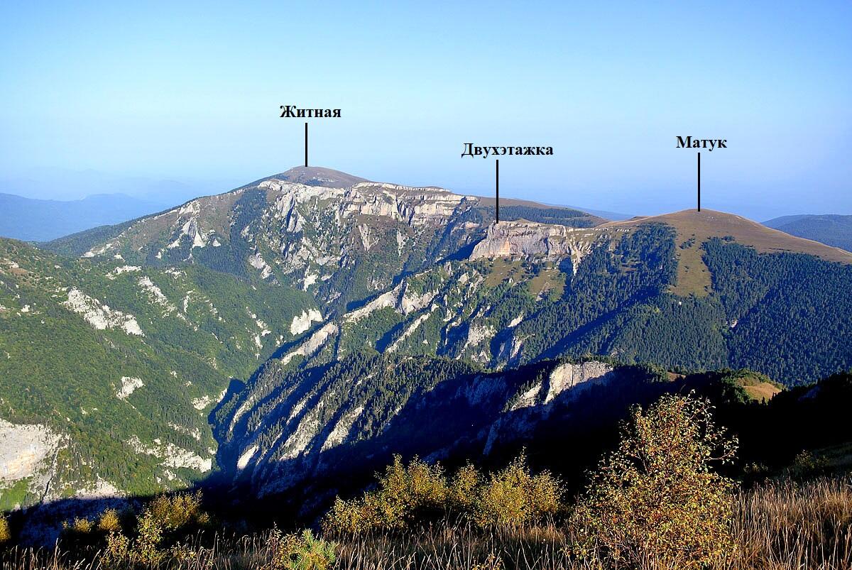 Без подписи