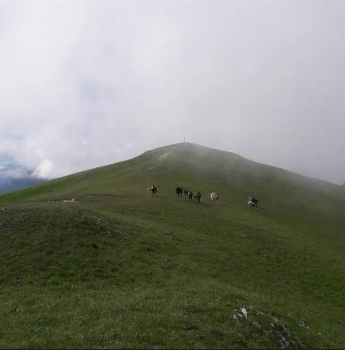 Без подписи