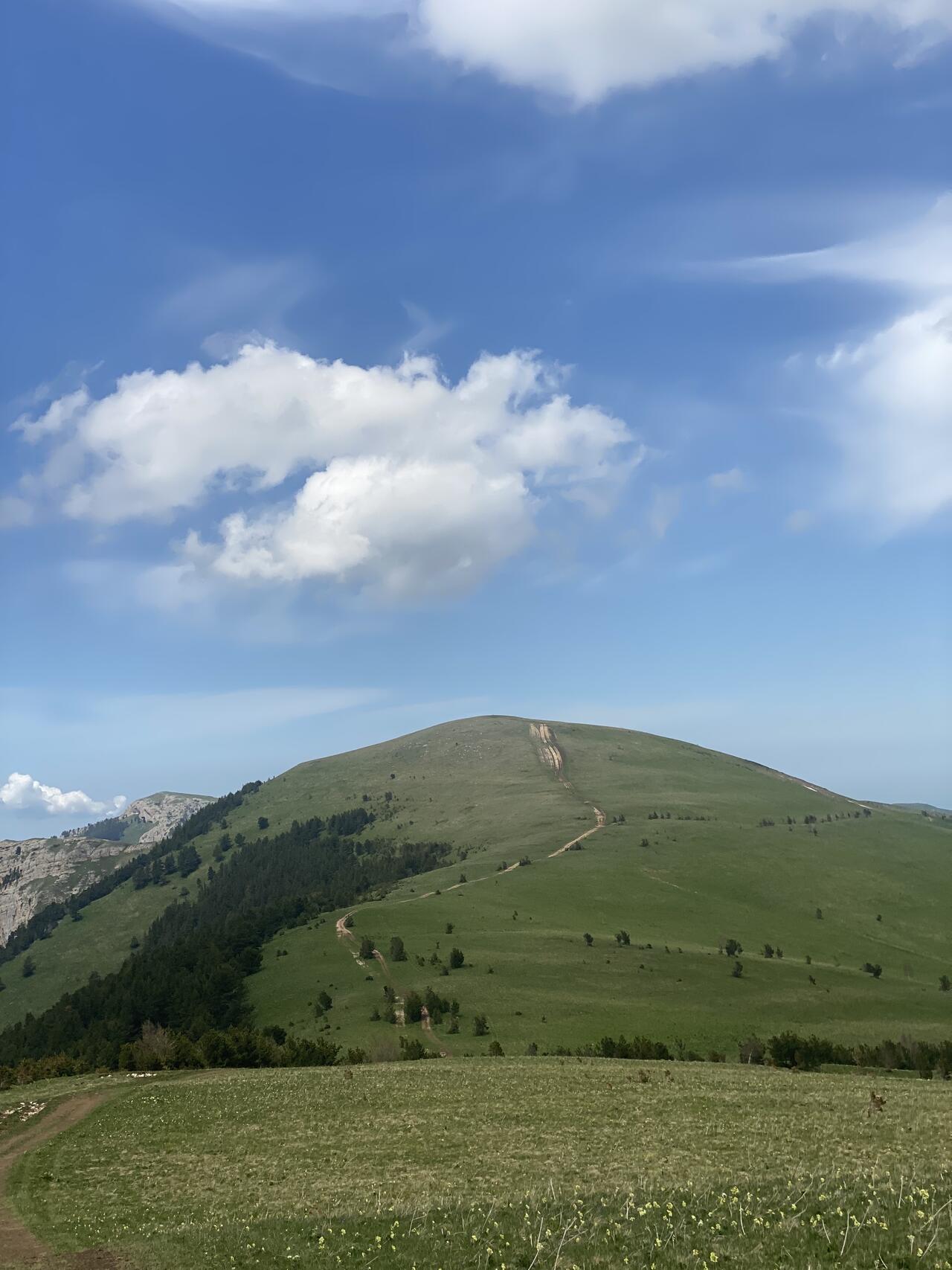 Без подписи