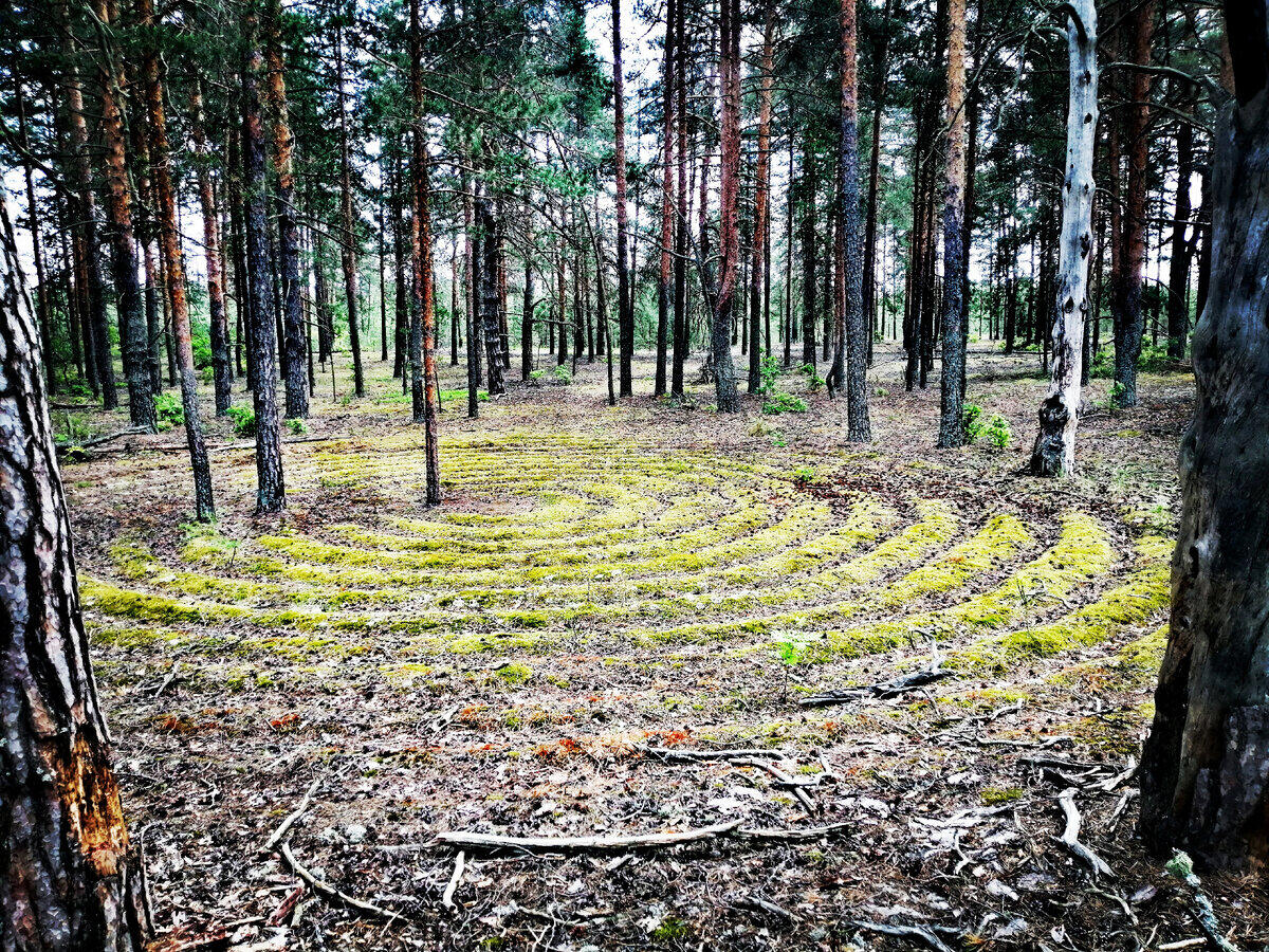 Без подписи