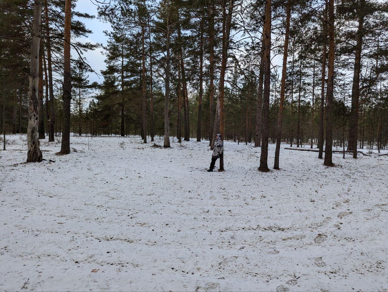 Без подписи