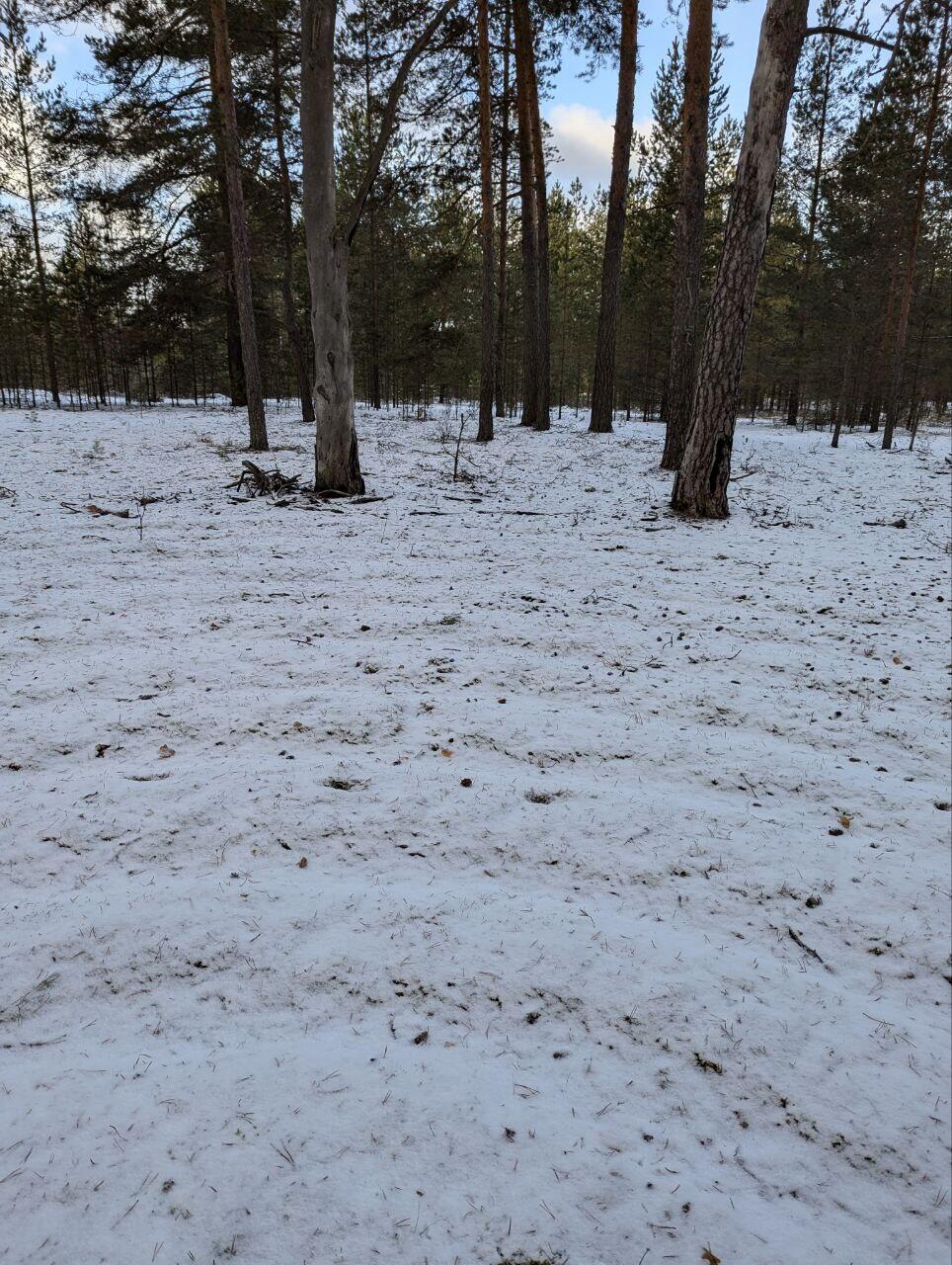 Без подписи