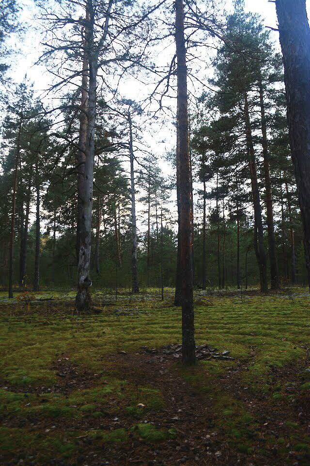 Без подписи