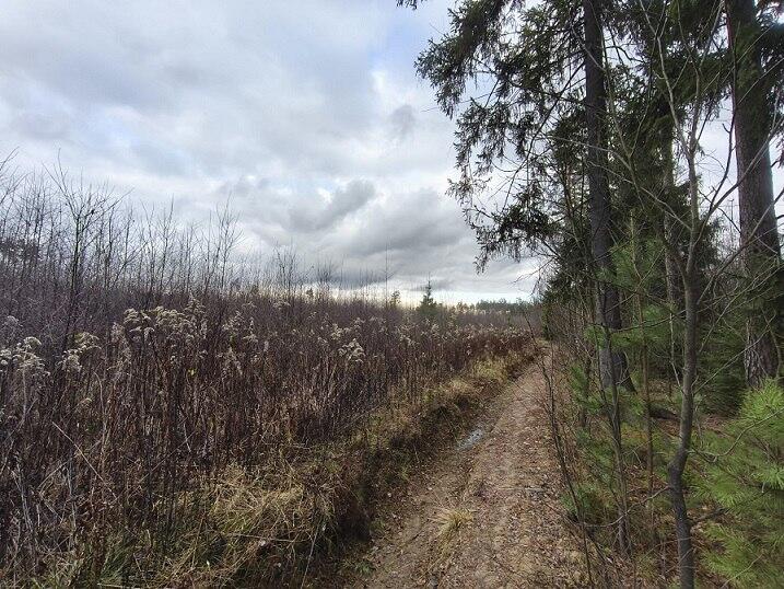 Без подписи