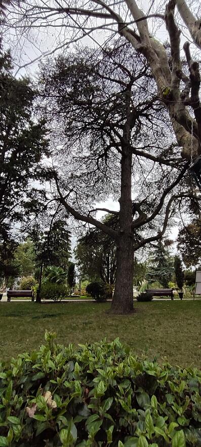 Без подписи