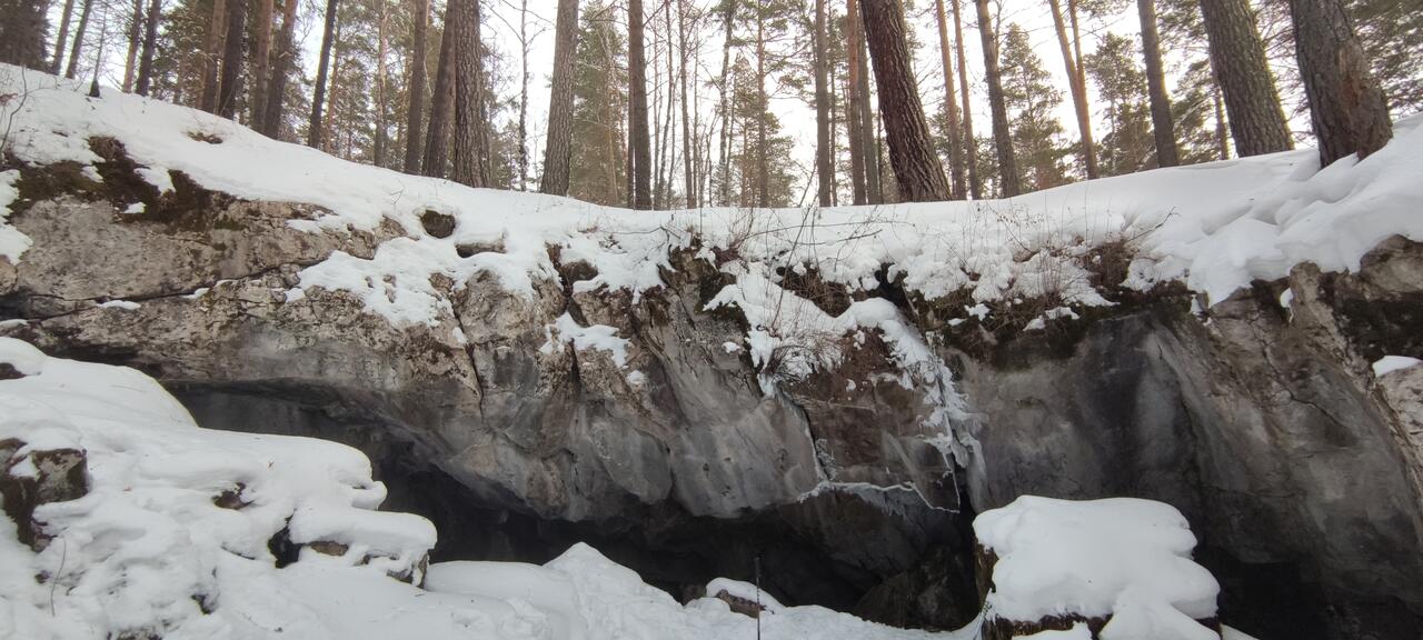 Без подписи