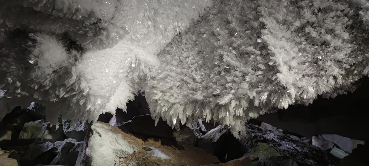 Без подписи