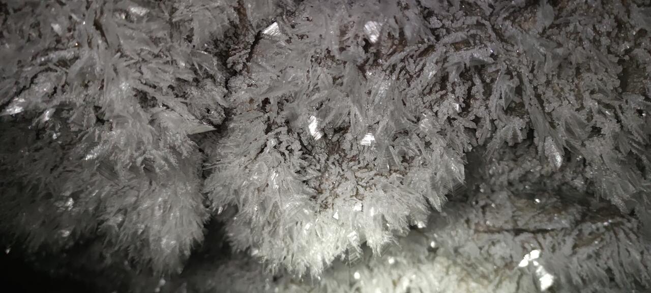 Без подписи