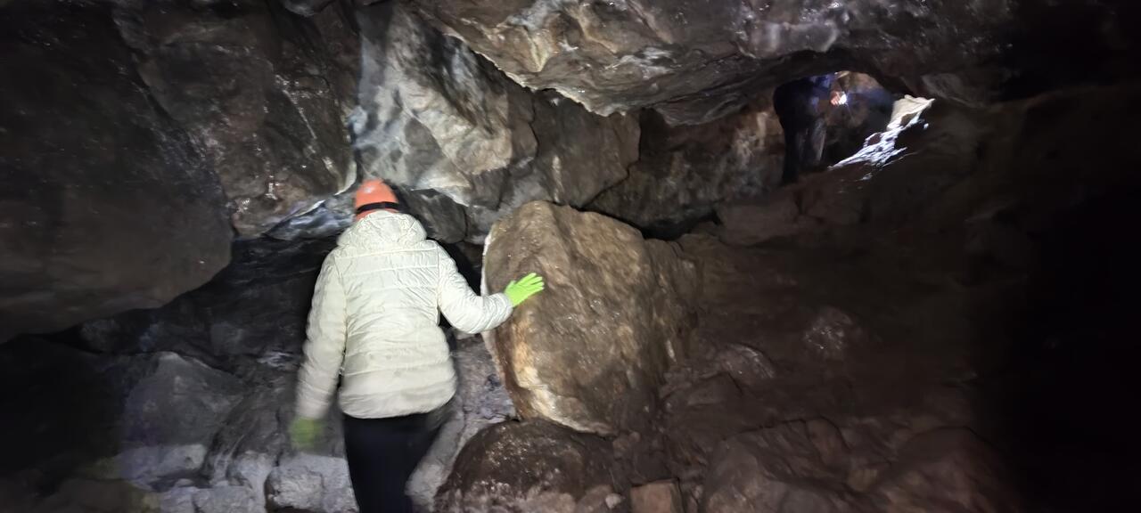 Без подписи