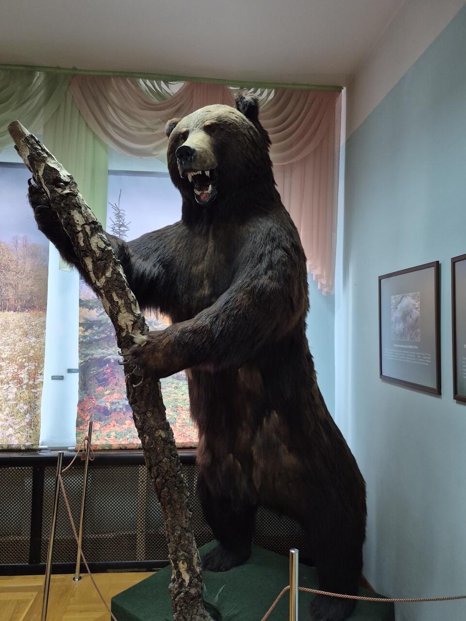 Без подписи