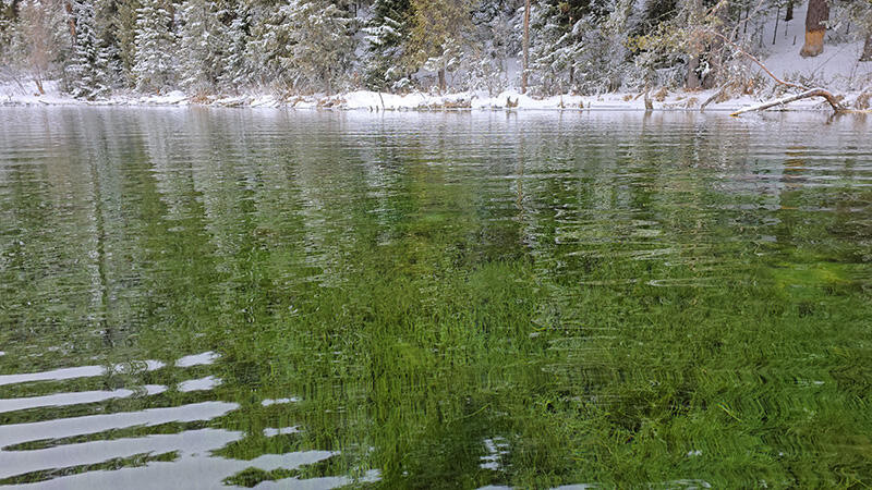 Без подписи