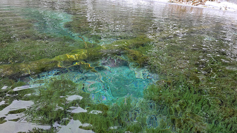 Без подписи