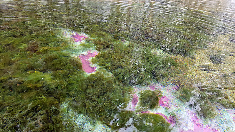 Без подписи