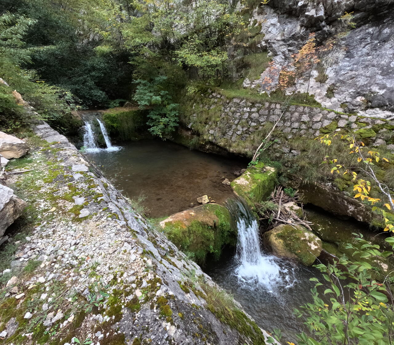 Без подписи