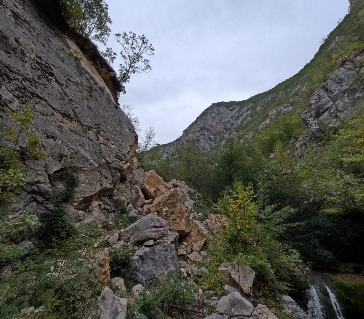 Без подписи