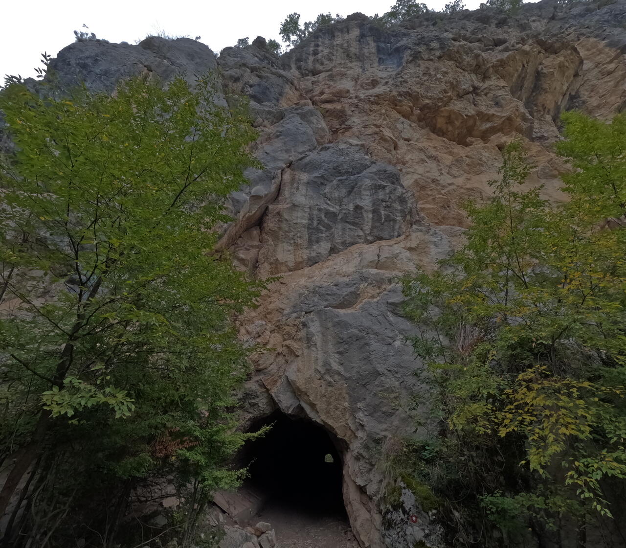 Без подписи