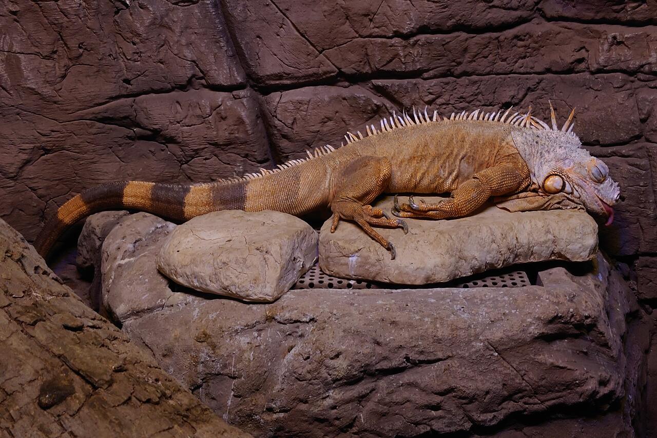 Без подписи