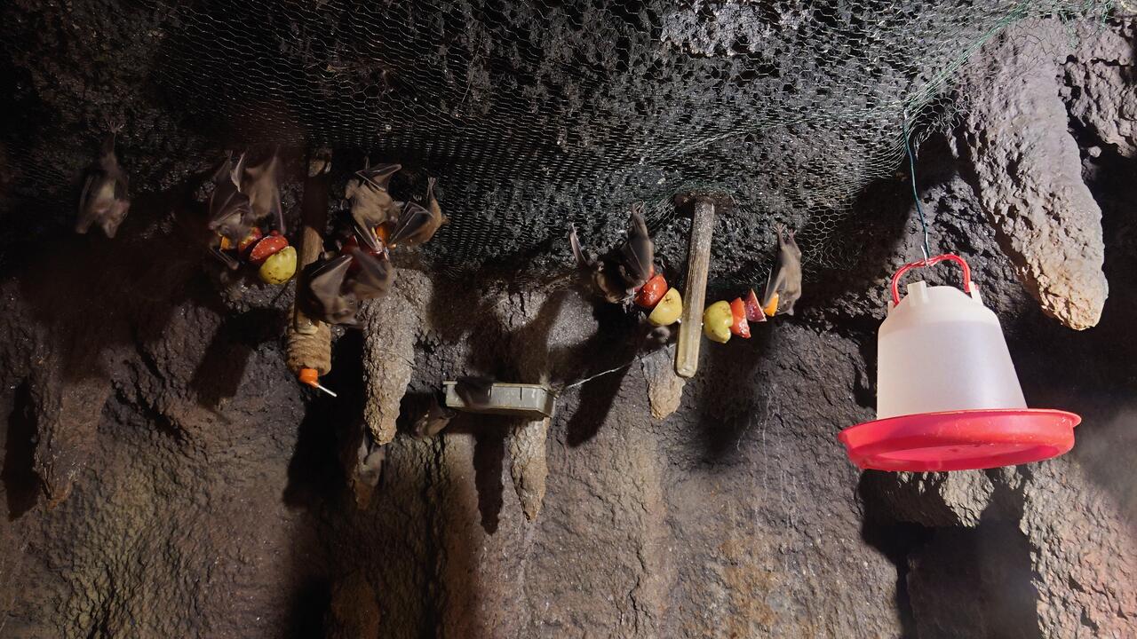 Без подписи