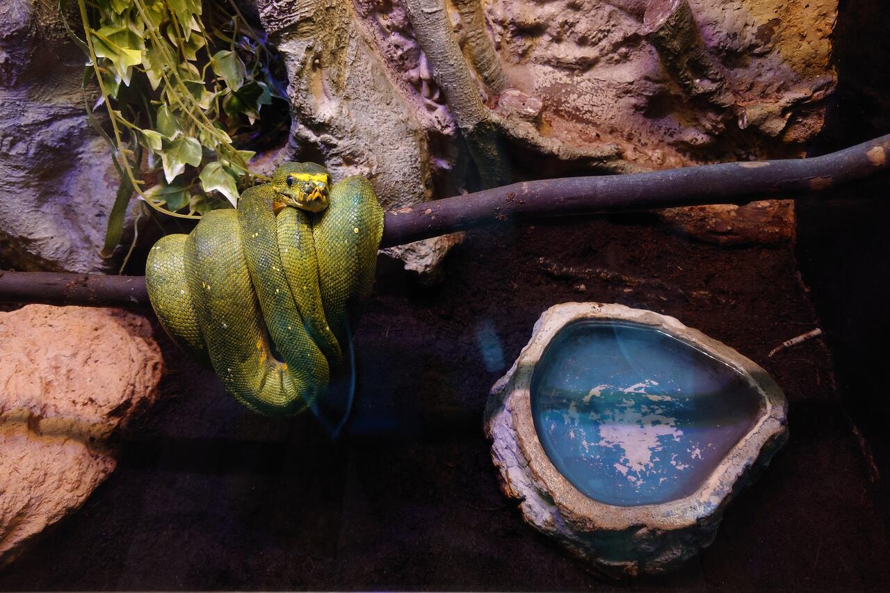 Без подписи