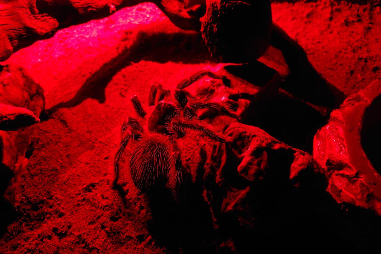 Без подписи