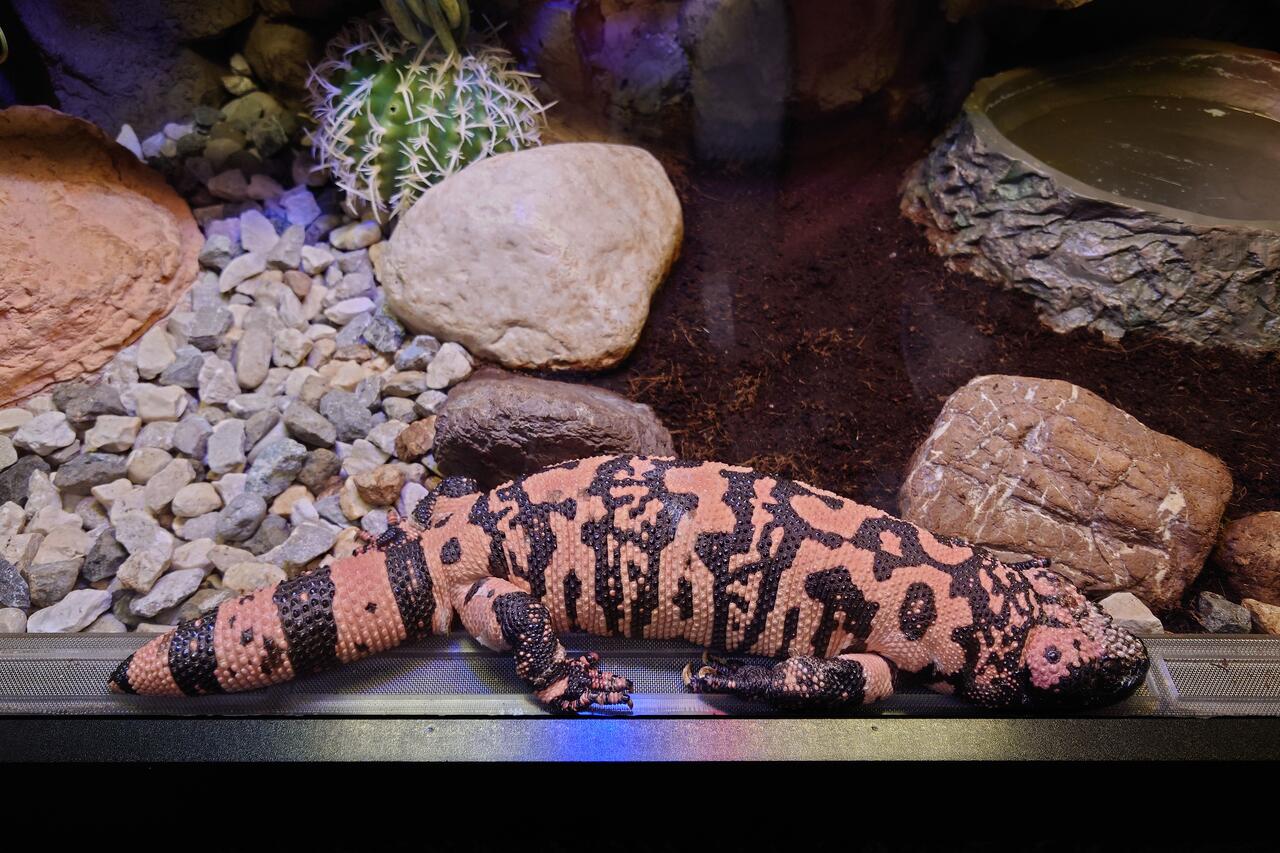 Без подписи