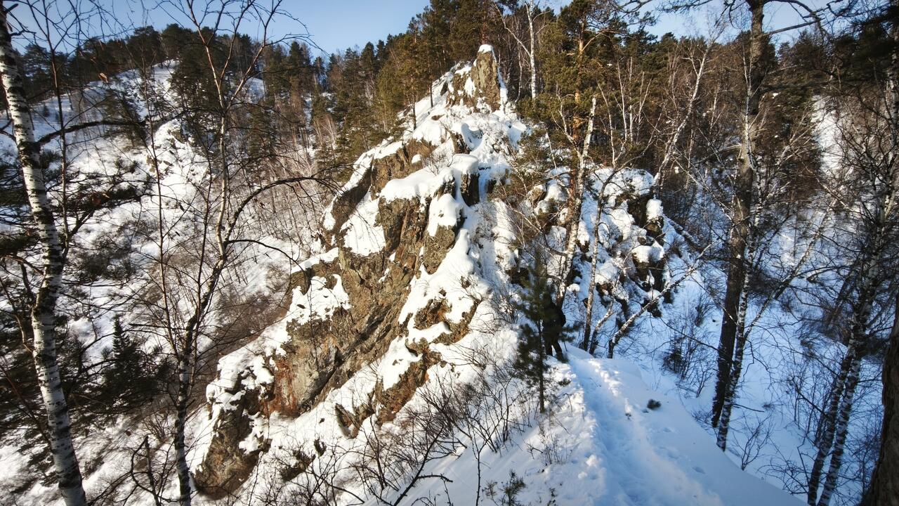 Без подписи