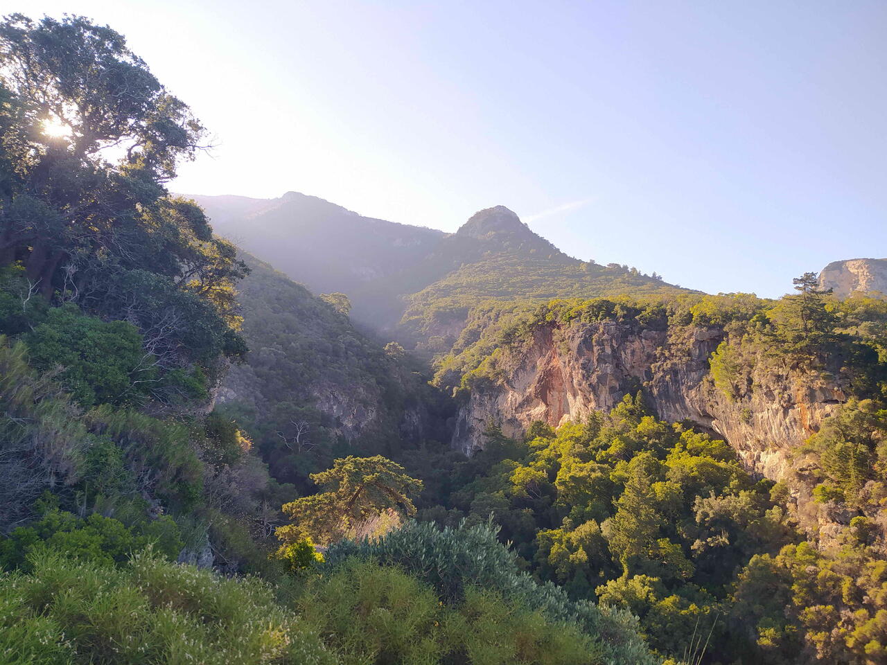 Без подписи