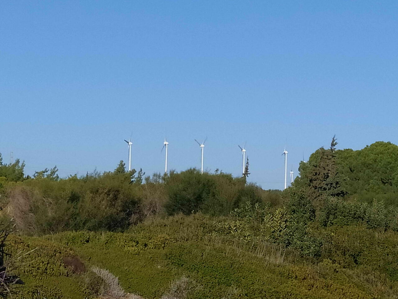 Без подписи