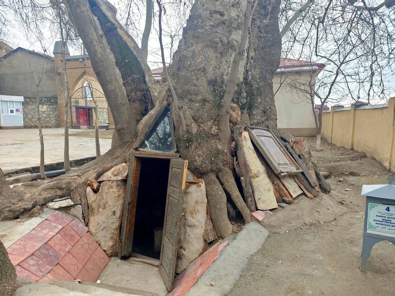 Без подписи