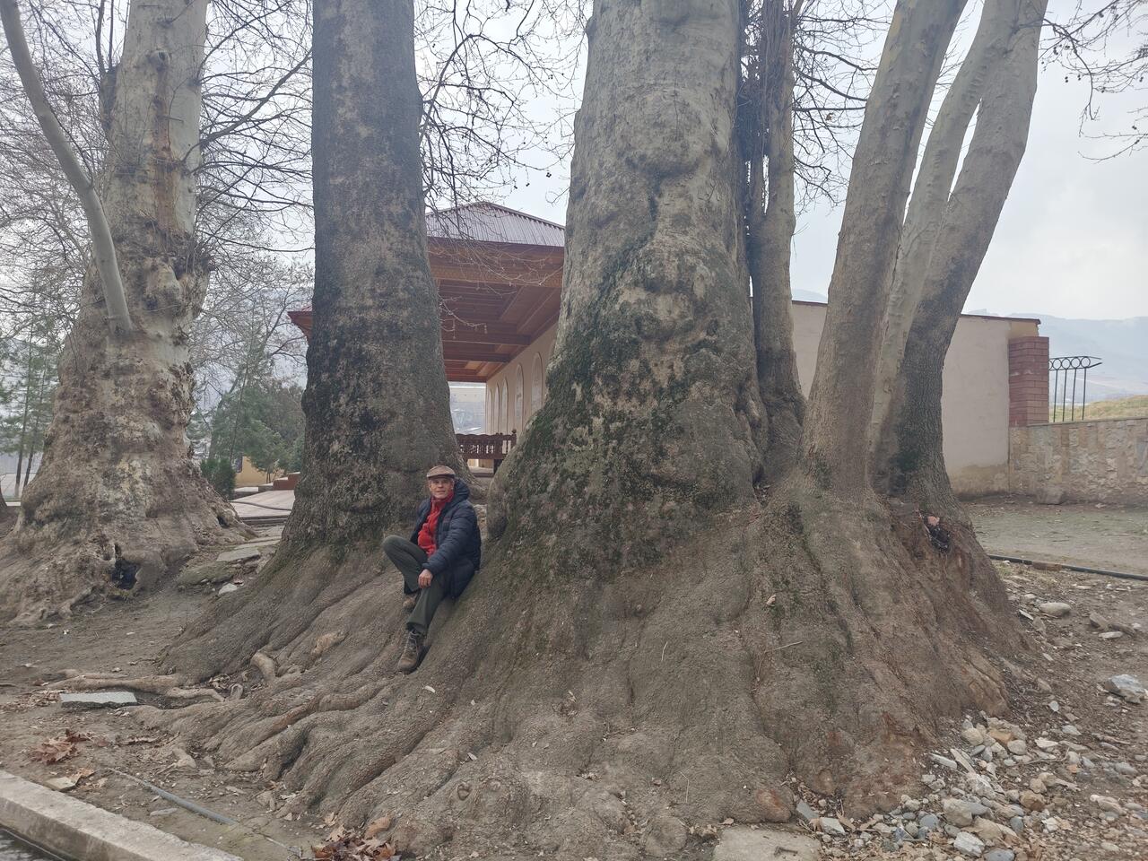 Без подписи