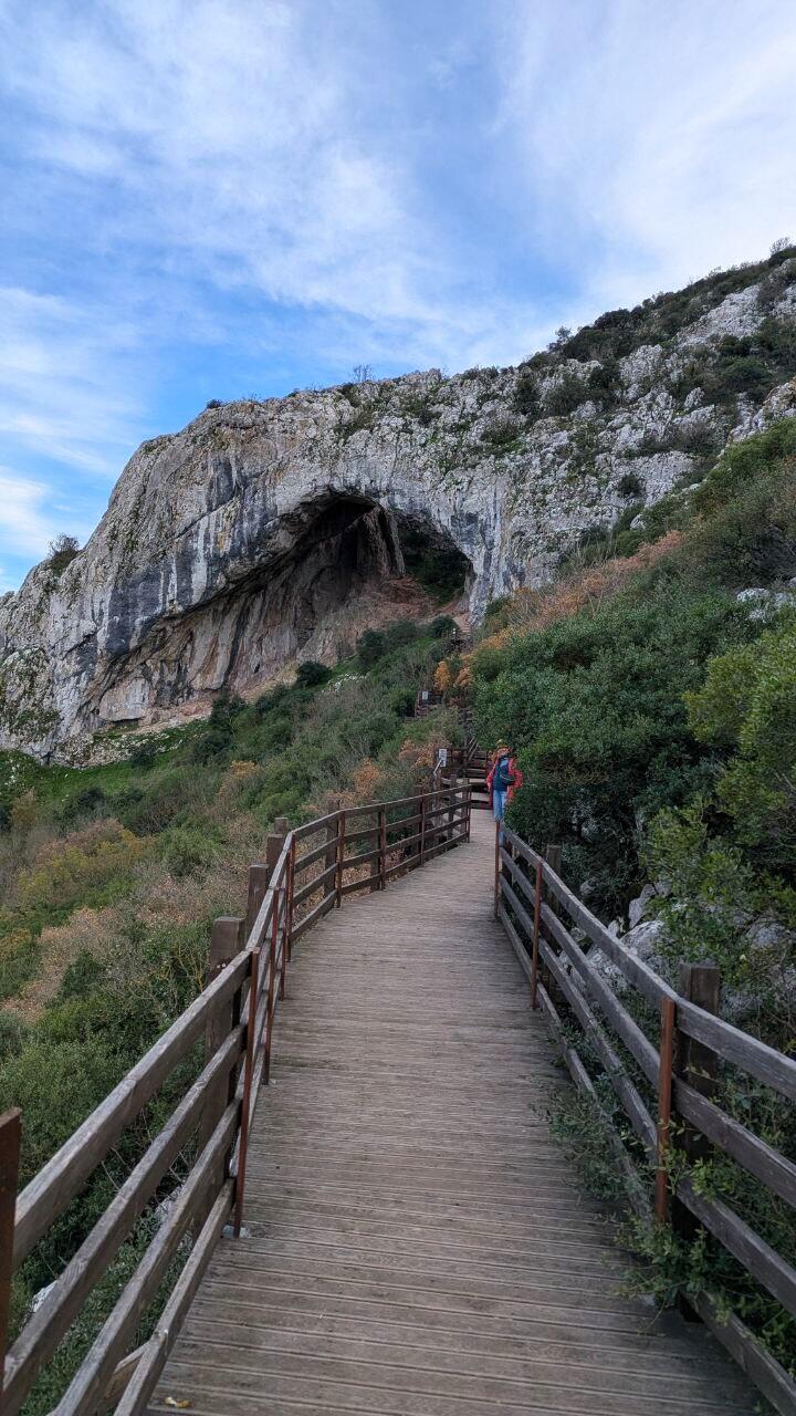 Без подписи