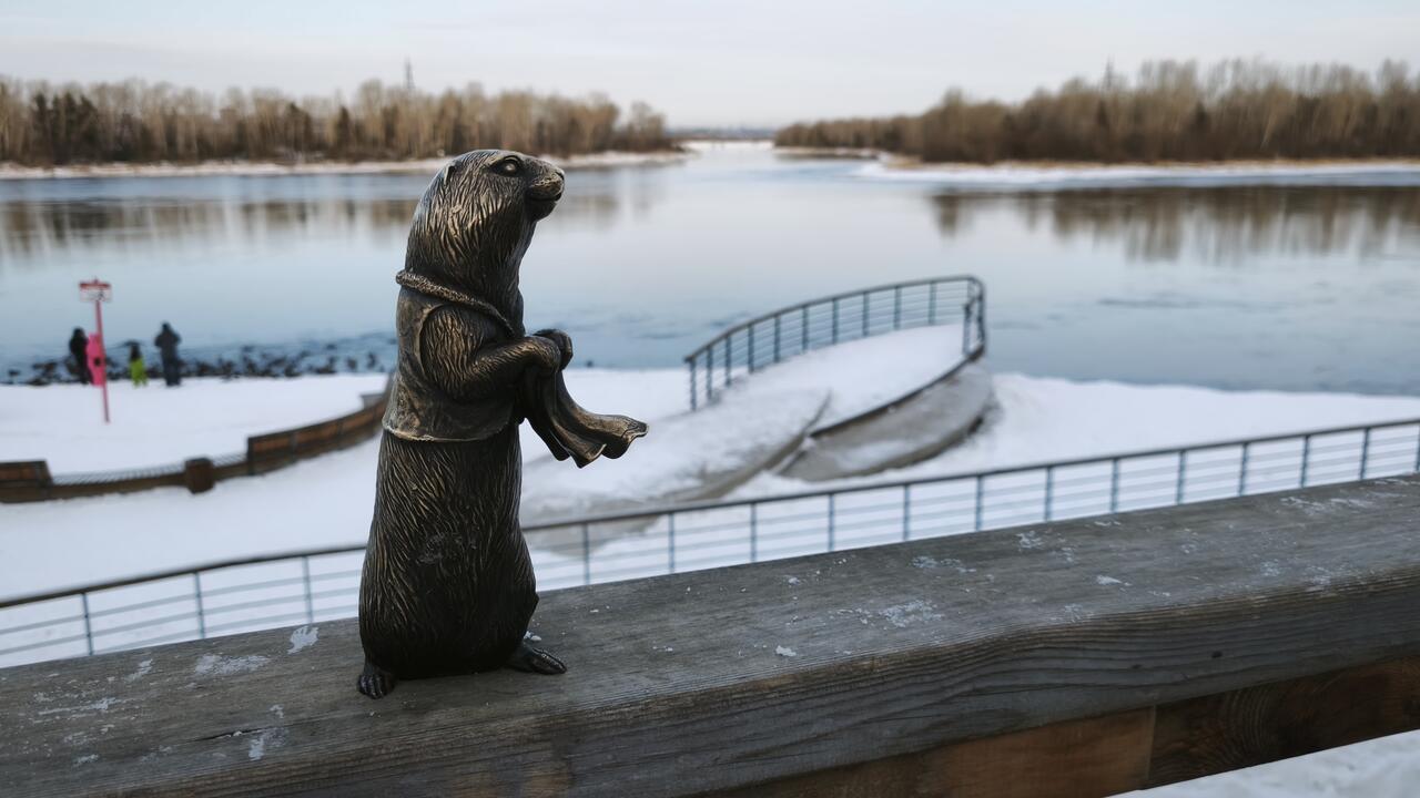 Без подписи