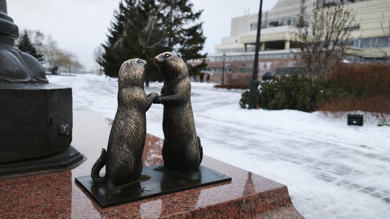 Без подписи