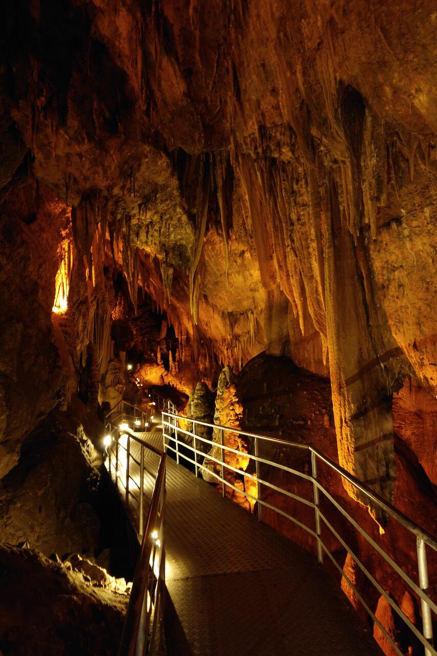 Без подписи