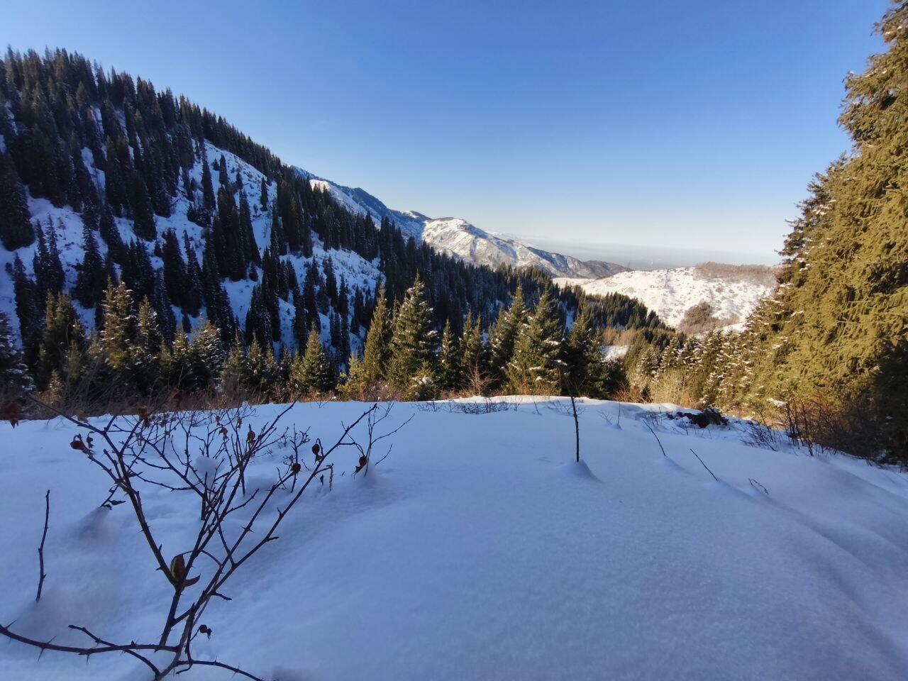 Без подписи