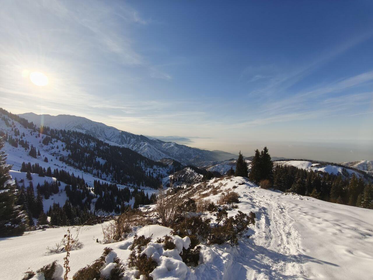 Без подписи