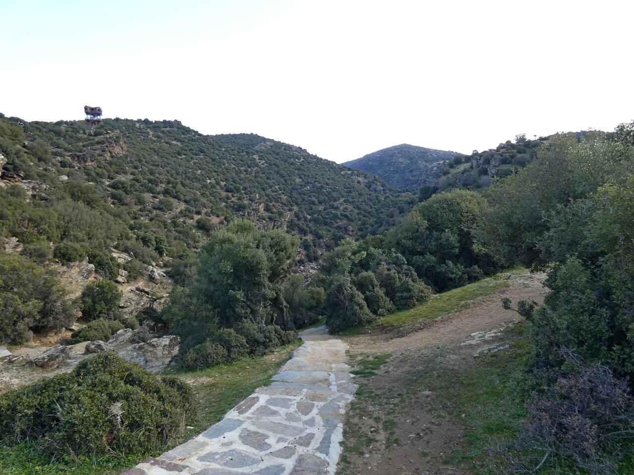 Без подписи