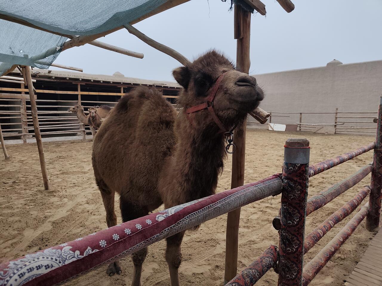 Без подписи