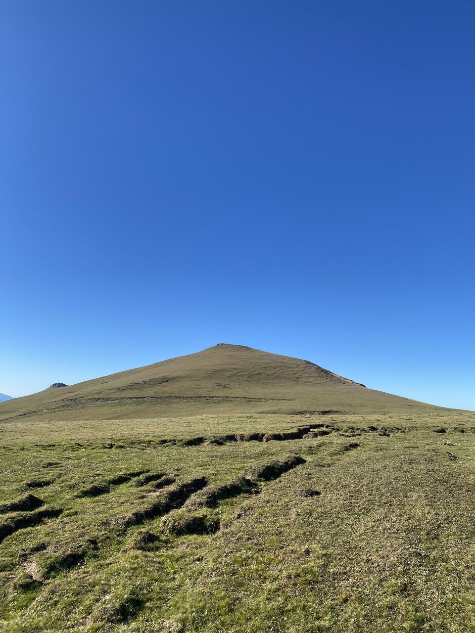 Без подписи