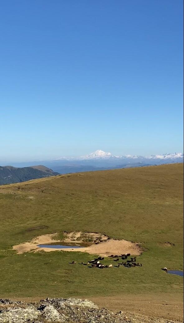 Эльбрус с вершины Б.Пцицера