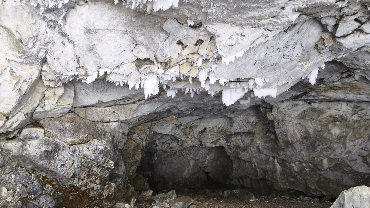 Без подписи