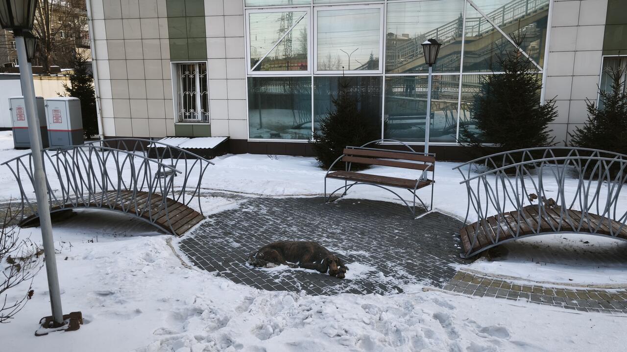 Без подписи