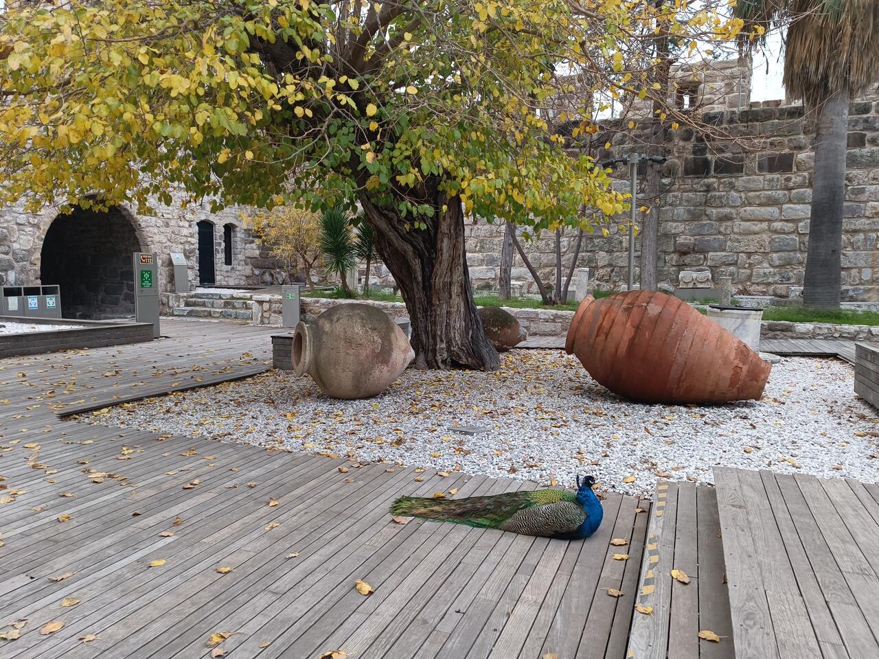 Без подписи