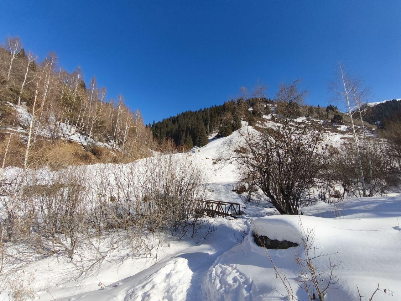 Без подписи