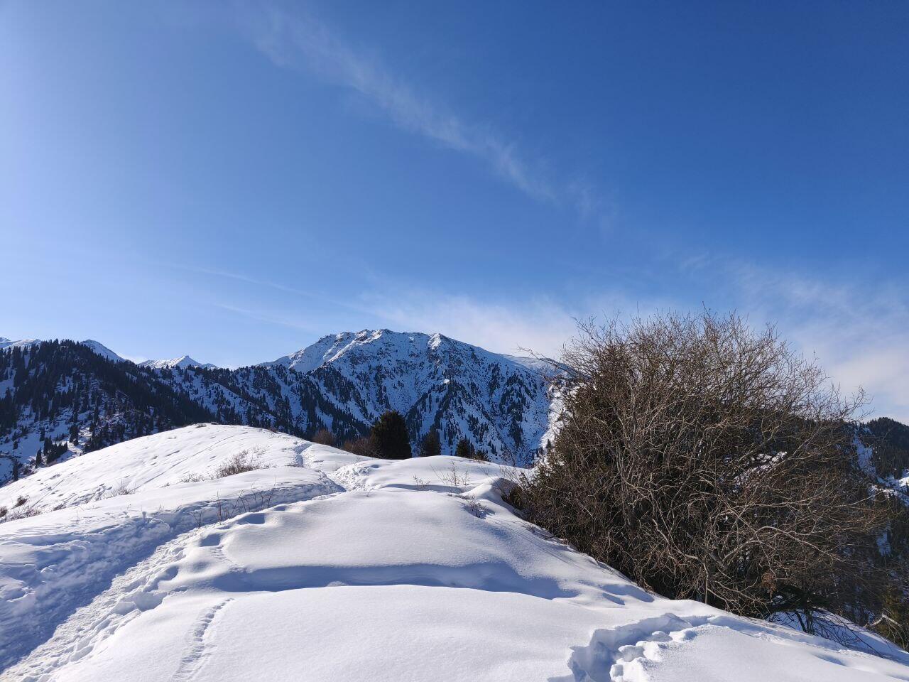 Без подписи