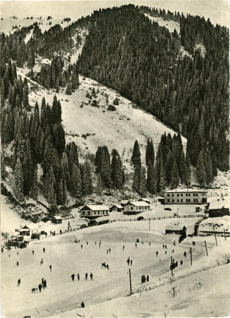 Мохнатка в прошлом веке