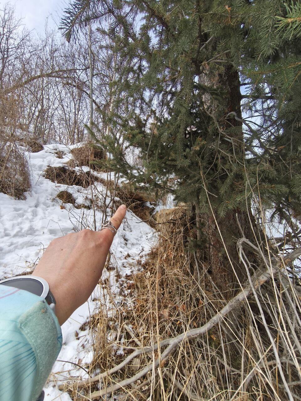 Тайник. Чуть выше координат